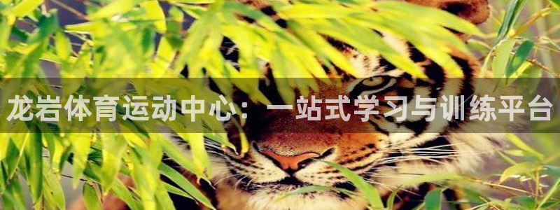 vsport体育官网下载软件：龙岩体育运动中心：一站