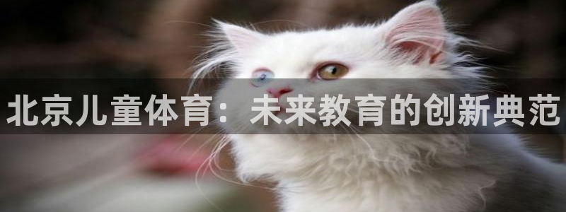 vsport体育官方平台体育：北京儿童体育：未来教育
