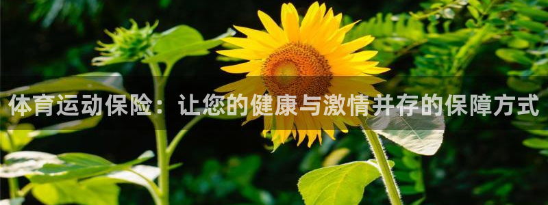 海南vsport体育官网下载发展怎么样