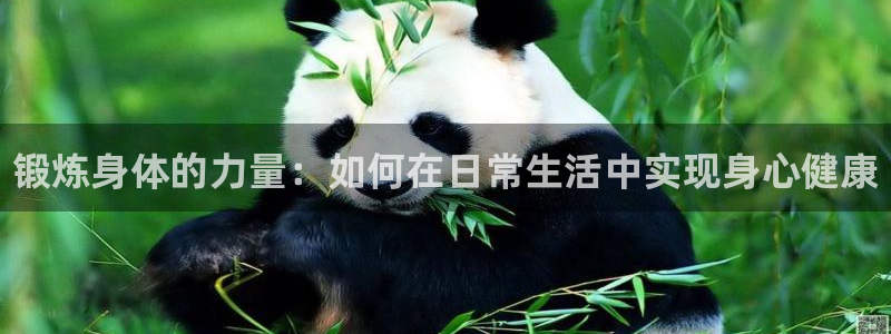 vsport体育官网下载：锻炼身体的力量：如何在日常