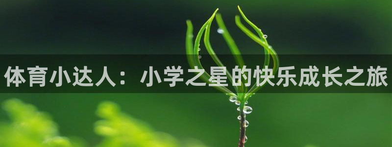 vsport体育官方正版app五金厂：体育小达人：小学之星的