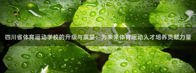 vsport体育官方正版app新能源：四川省体育运动